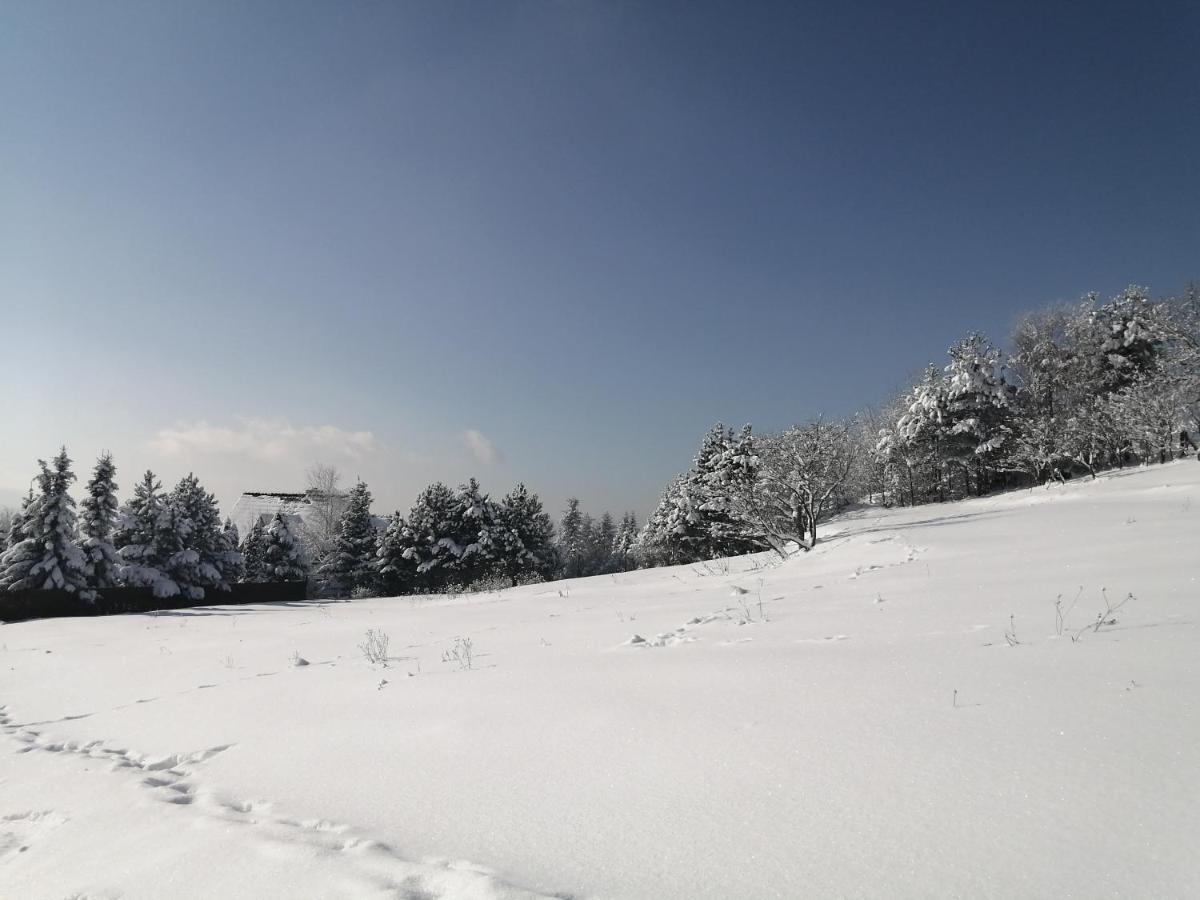 Goralska Ostoja Villa Pcim Eksteriør billede