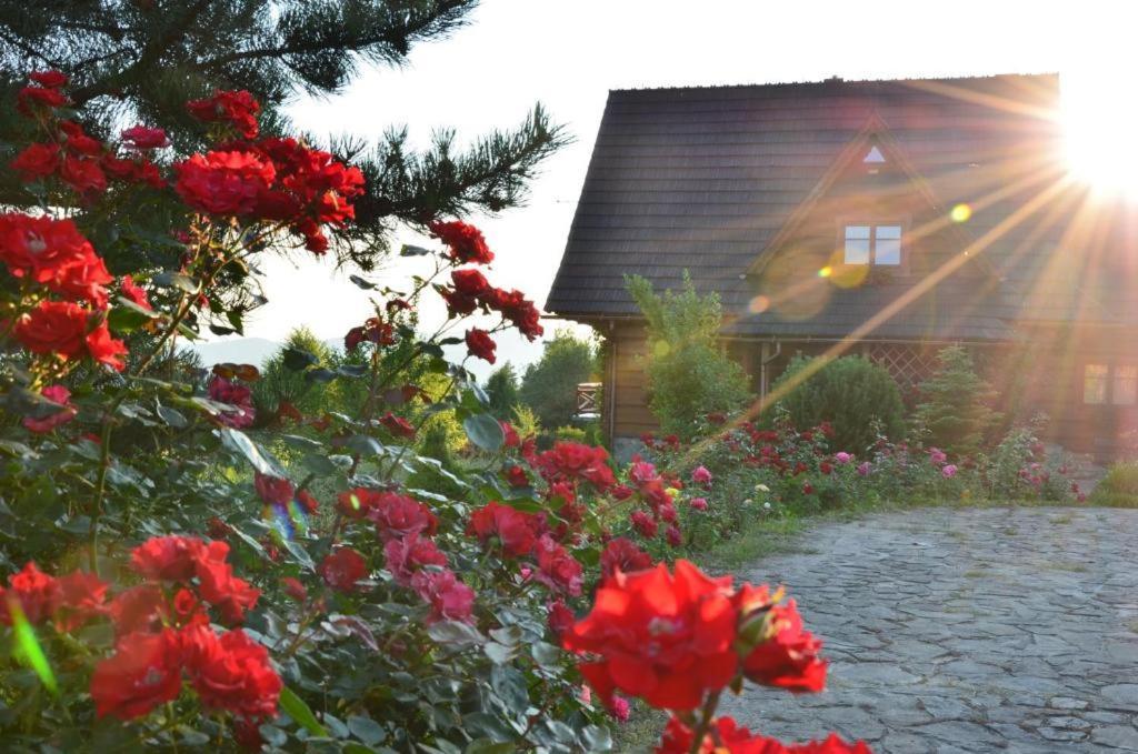 Goralska Ostoja Villa Pcim Eksteriør billede